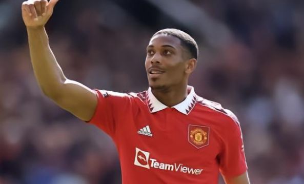 运动能力的 运动能力的